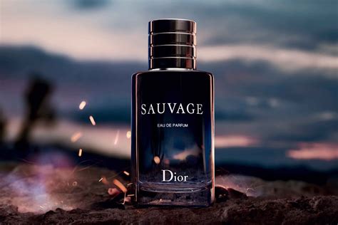 savash dior|dior sauvage best price.